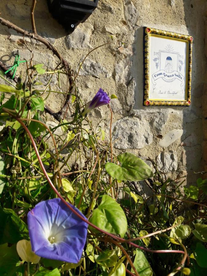 B&B Cum Grano Salis Castello delle Forme 外观 照片
